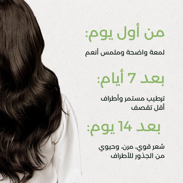 Coco Shea Care Bundle - Complete Coconut Oil & Shea Butter Routine - For Dry & Damaged Hair
